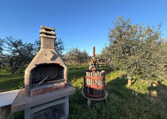 Flora Gallipoli * Il Monte