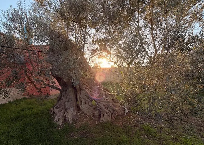 Flora Gallipoli Vila