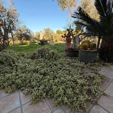 Flora Gallipoli Вилла Il Monte